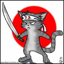 Karate Kat